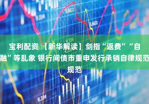 宝利配资 【新华解读】剑指“返费”“自融”等乱象 银行间债市重申发行承销自律规范