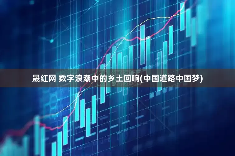 晟红网 数字浪潮中的乡土回响(中国道路中国梦)