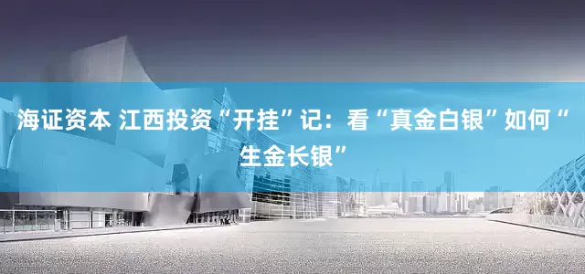 海证资本 江西投资“开挂”记：看“真金白银”如何“生金长银”