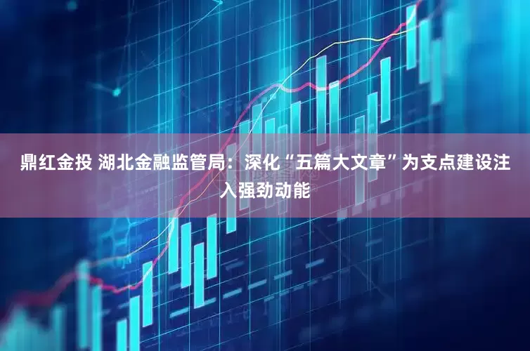 鼎红金投 湖北金融监管局：深化“五篇大文章”为支点建设注入强劲动能