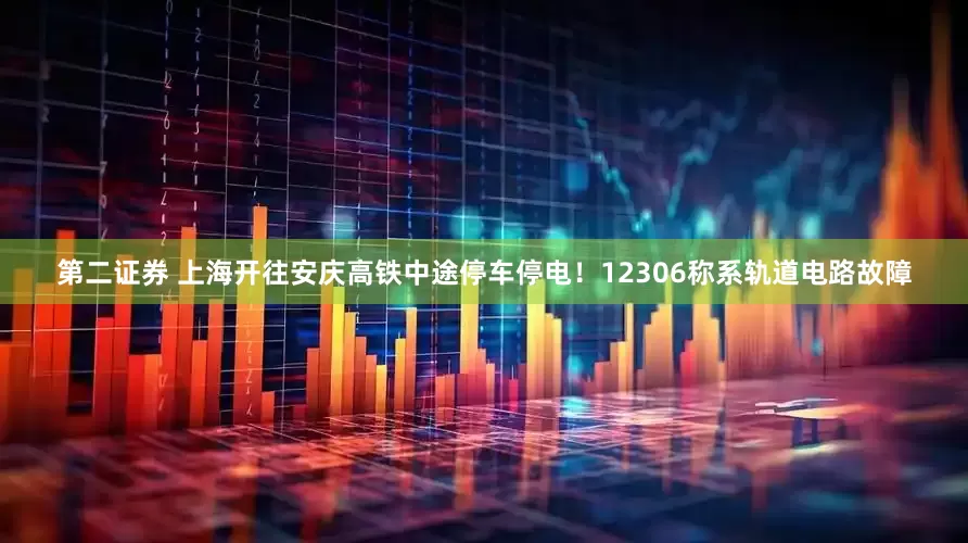 第二证券 上海开往安庆高铁中途停车停电！12306称系轨道电路故障