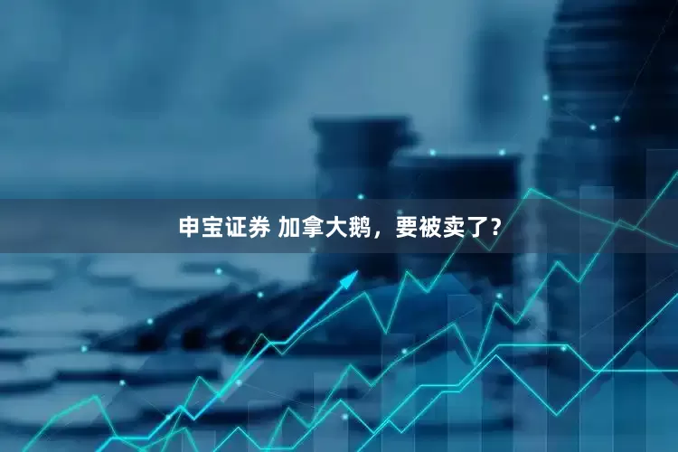 申宝证券 加拿大鹅，要被卖了？