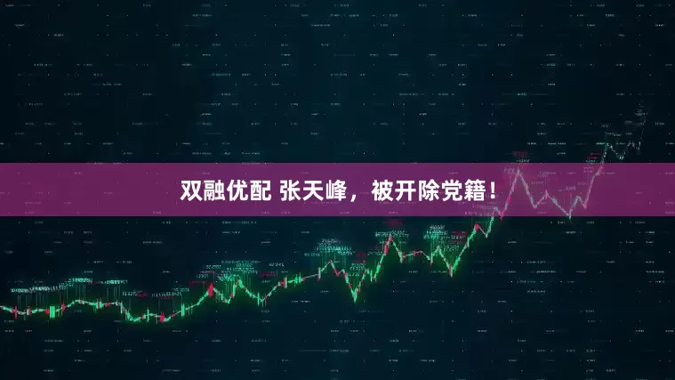 双融优配 张天峰，被开除党籍！