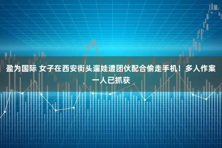 盈为国际 女子在西安街头遛娃遭团伙配合偷走手机！多人作案一人已抓获
