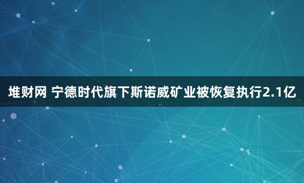 堆财网 宁德时代旗下斯诺威矿业被恢复执行2.1亿
